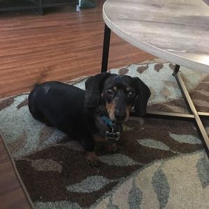 Meet your Posher, Aimee